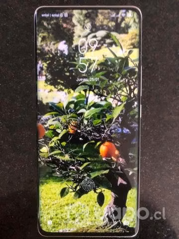 Xiaomi 12 pro 256gb almacenamiento 12gb ram
