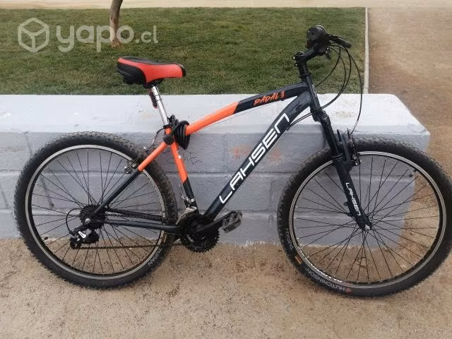 Bicicleta