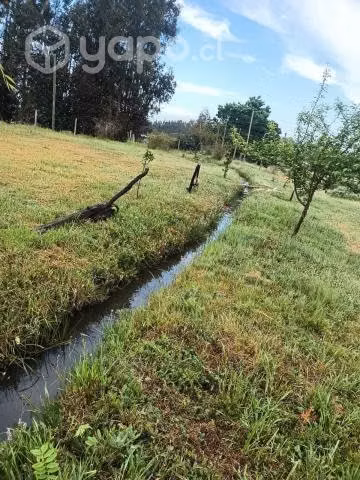 Vendo hermoso terreno en san rafael - Imagen 3