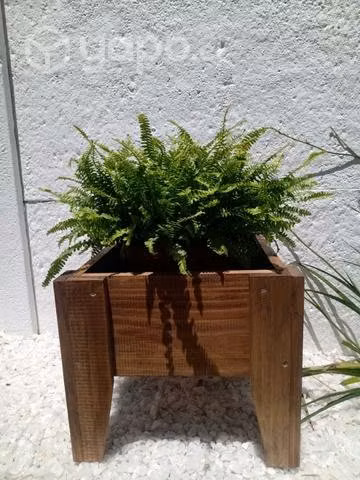 Maceteros madera