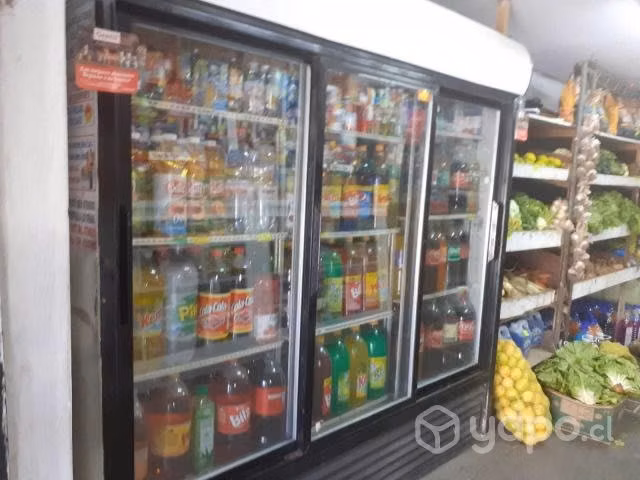 Conservadora de bebidas