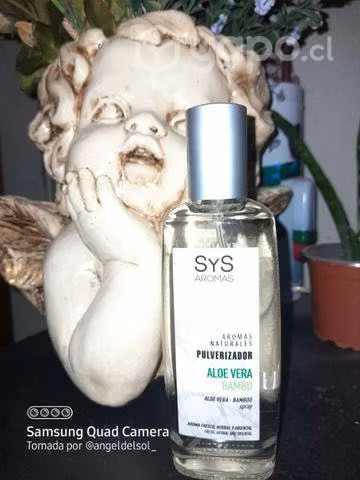 Pulverizador S Y S