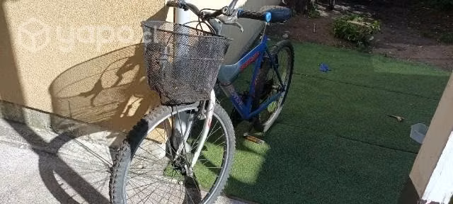 Bicicleta - Imagen 2
