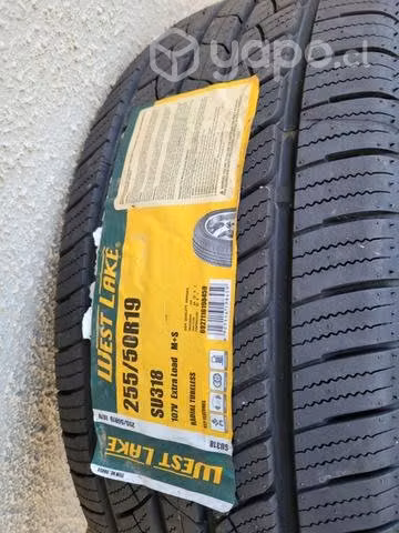 Neumáticos nuevos, 255/50R19 - Imagen 4