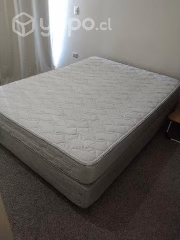 Box Americno Rosen Beat