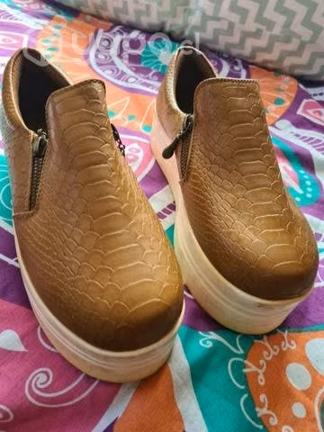 Zapatos Panchitas