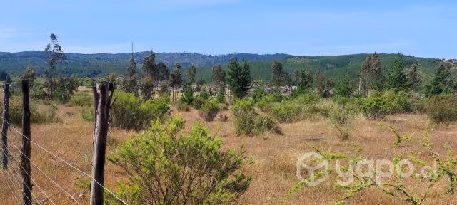 Parcela 2.5 ha espinalillo hualañe