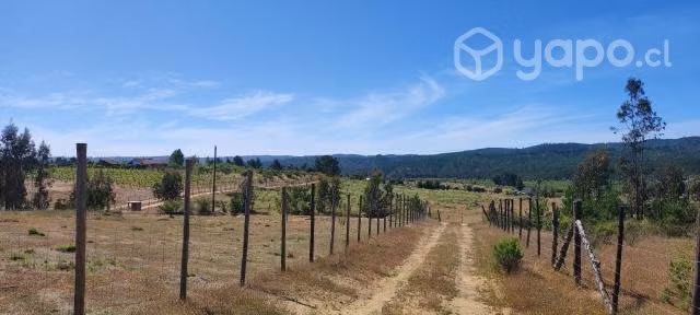 Parcela 2.5 ha espinalillo hualañe