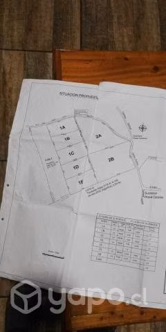 Parcela 2.5 ha espinalillo hualañe