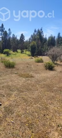 Parcela 2.5 ha espinalillo hualañe