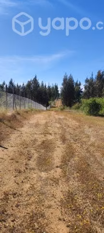 Parcela 2.5 ha espinalillo hualañe