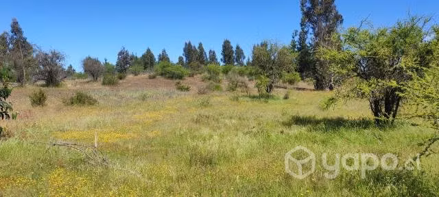 Parcela 2.5 ha espinalillo hualañe