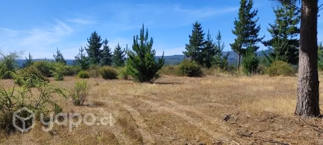Parcela 2.5 ha espinalillo hualañe