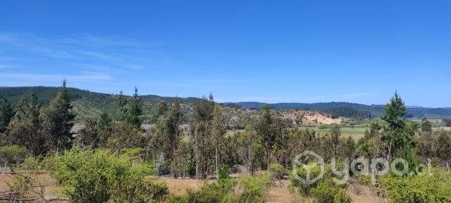 Parcela 2.5 ha espinalillo hualañe