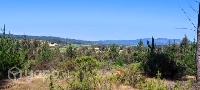 Parcela 2.5 ha espinalillo hualañe