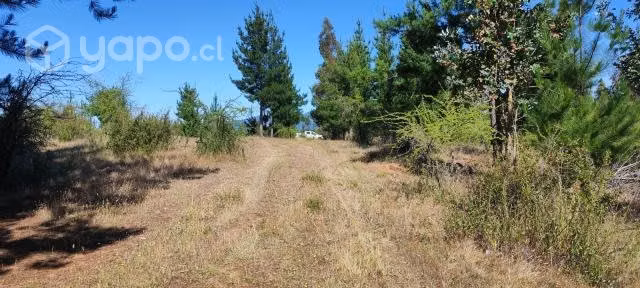 Parcela 2.5 ha espinalillo hualañe