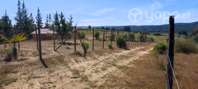 Parcela 2.5 ha espinalillo hualañe