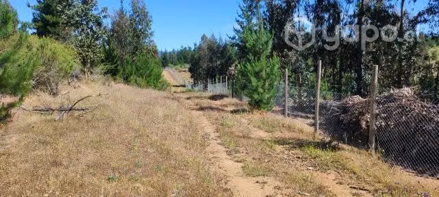 Parcela 2.5 ha espinalillo hualañe