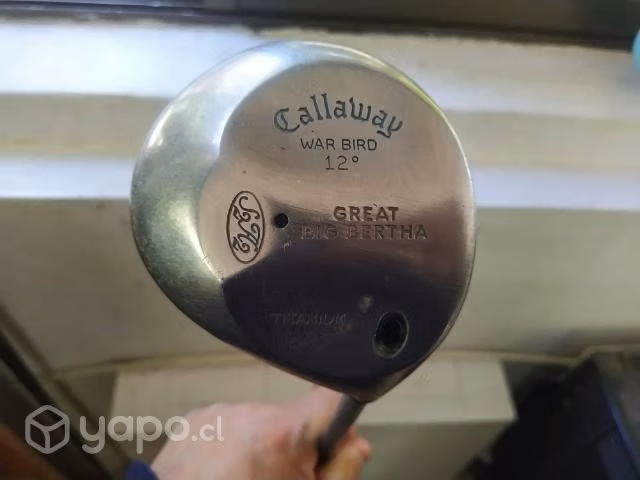 Dos palos de golf+ 5 pelotas de golf