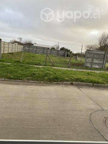 Sitio en Puerto Saavedra - Imagen 2