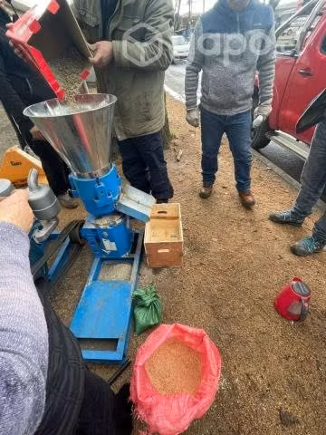 Pelletizadora diesel 26 hp: 450 kg x hora - Imagen 3