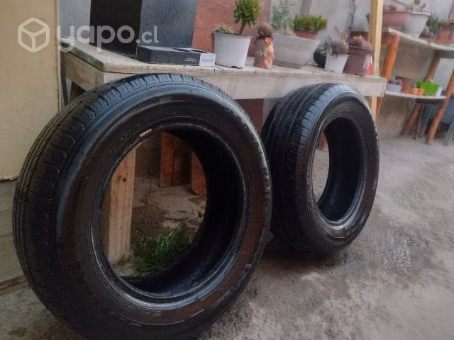 Neumáticos
