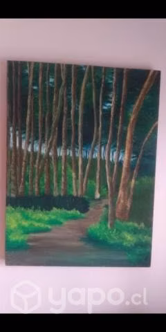 Cuadros 60*80 Cms.