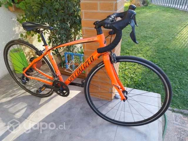 Bici ruta specialized dolce - Imagen 2