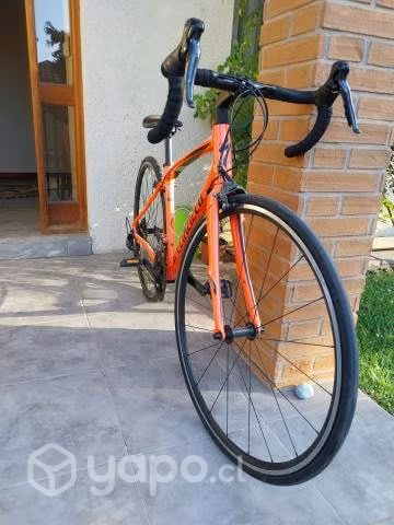 Bici ruta specialized dolce