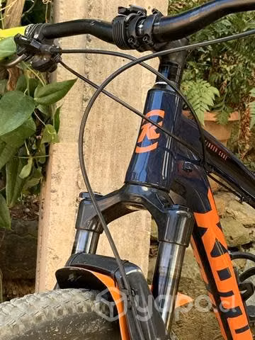 Kona cinder cone 2021 - Imagen 4