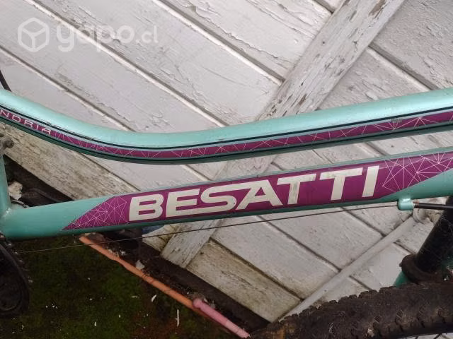 Bicicleta