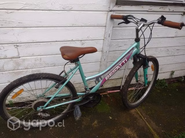 Bicicleta