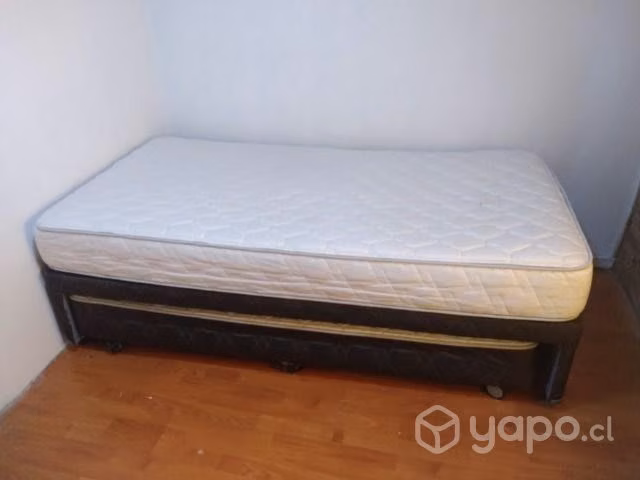 Cama nido