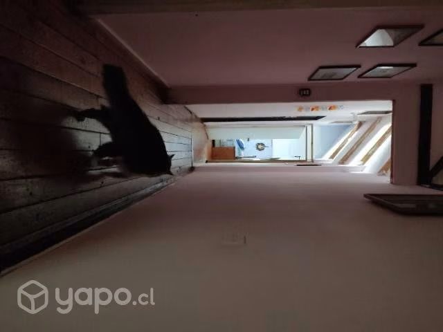 Vendo casa 2 pisos - Imagen 4