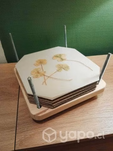Prensa para flores y plantas