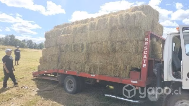 Se ofrece cuadrilla para servicios de tirar fardos