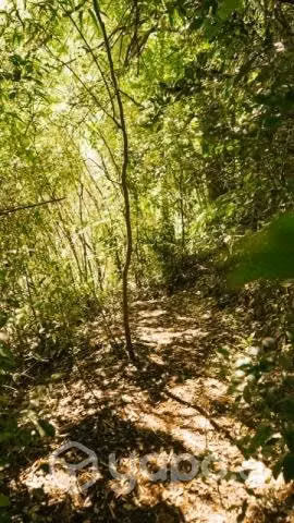 Arriendo pieza camino costero