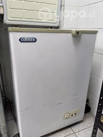 Congelador 100 Litros Tapa Dura/rigida Cooler