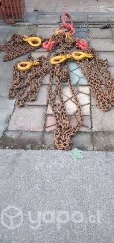 Pulpo de cadena