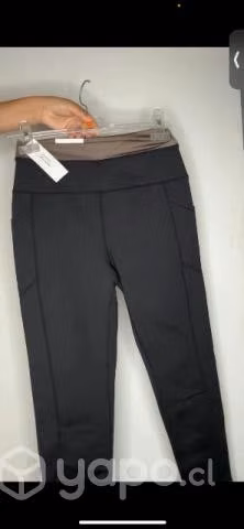 Conjunto CALVIN
