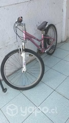 Bicicleta de dama