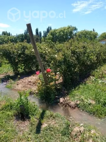 Vendo Terreno