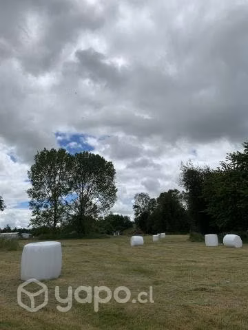 Bolos de ensilaje - Imagen 4