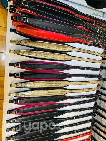 Correas acordeón disponibles