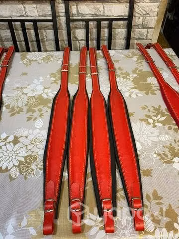 Correas acordeón disponibles