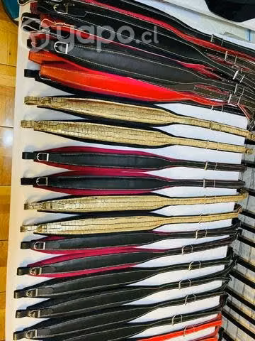 Correas acordeón disponibles