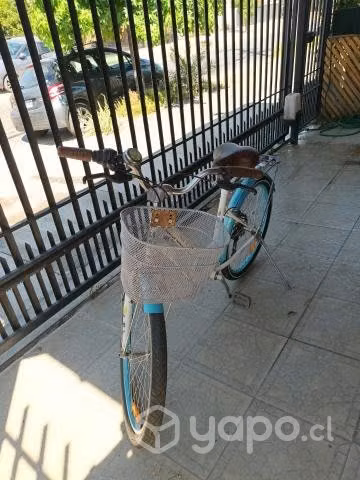 Bianchi aro 24