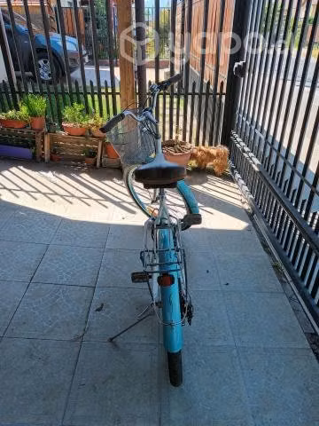 Bianchi aro 24