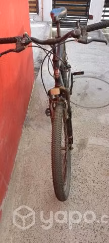 Mountain bike Bianchi