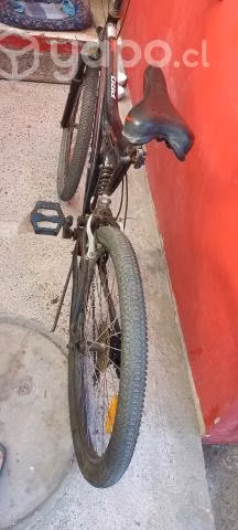 Mountain bike Bianchi